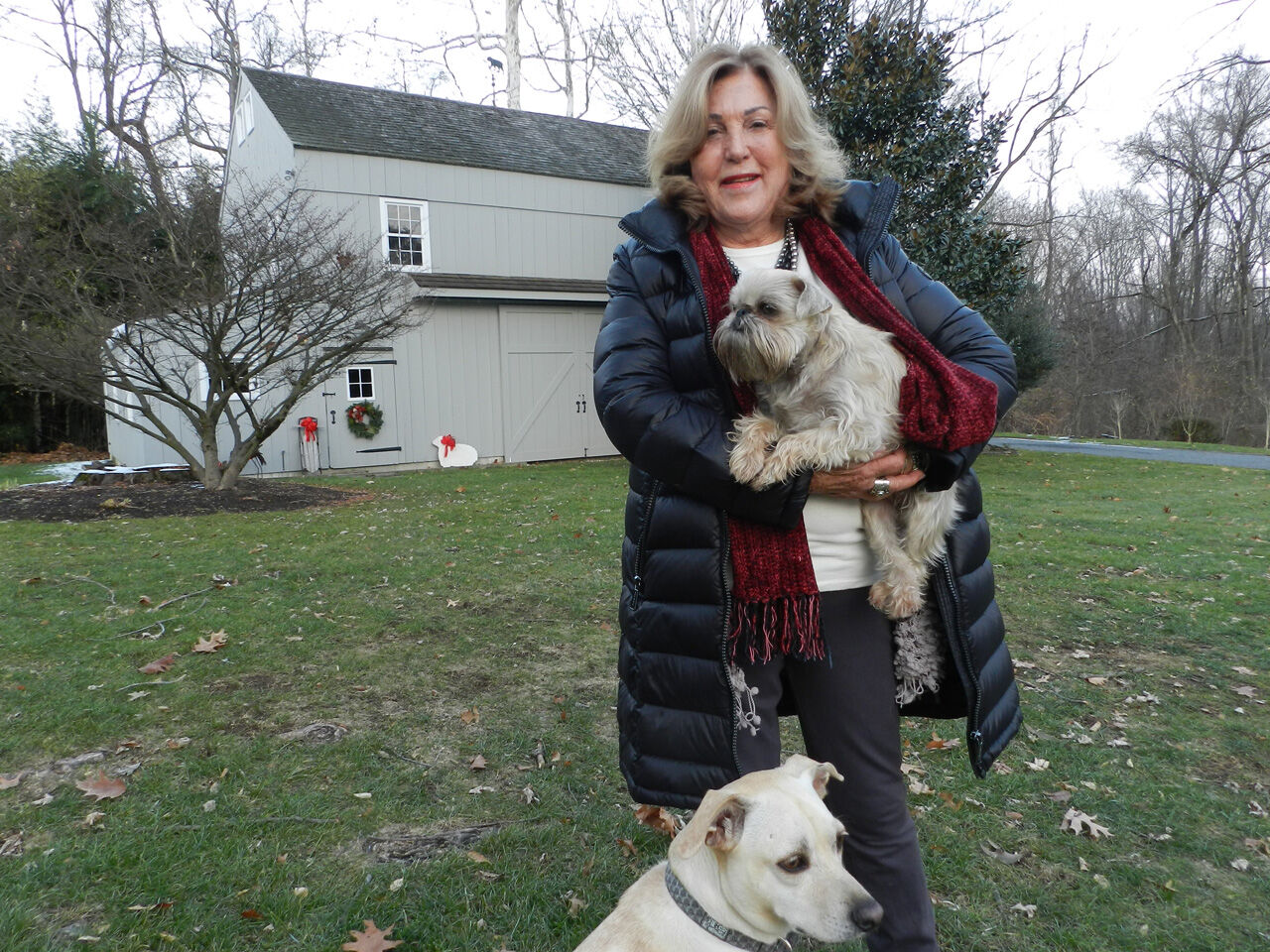 Carol Wojie Dogs and Barn