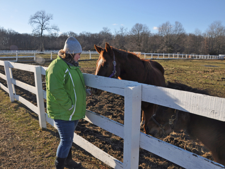 Bordentown equine therapist heals with horses