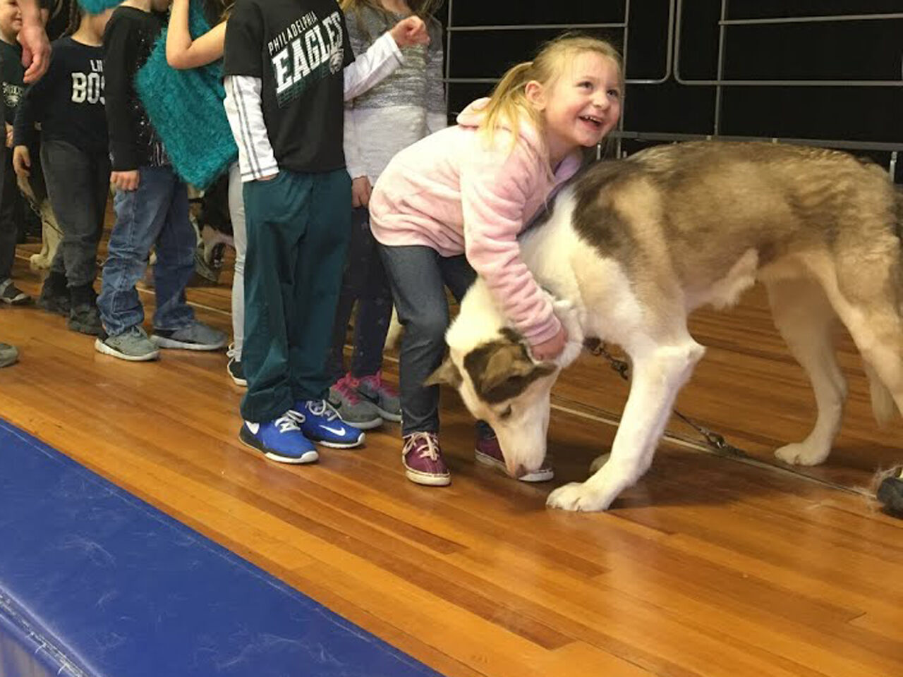 Sled dogs take Clara Barton Elementary School