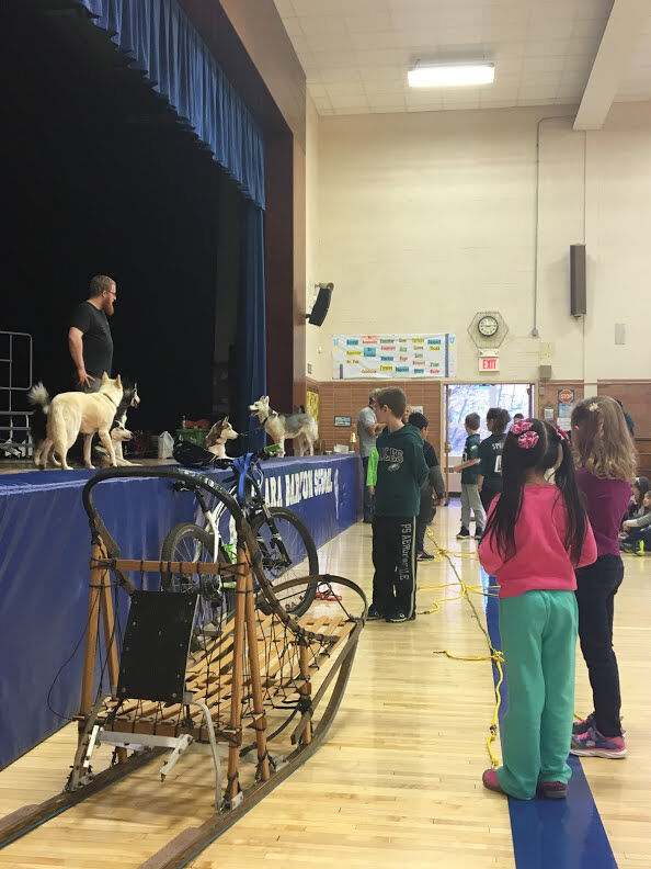 Sled dogs take Clara Barton Elementary School