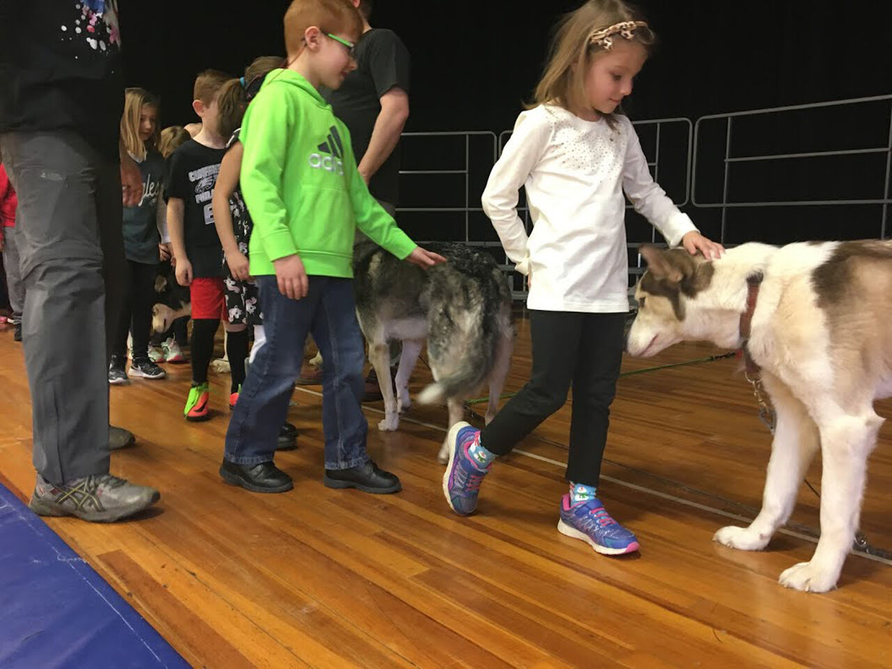 Sled dogs take Clara Barton Elementary School