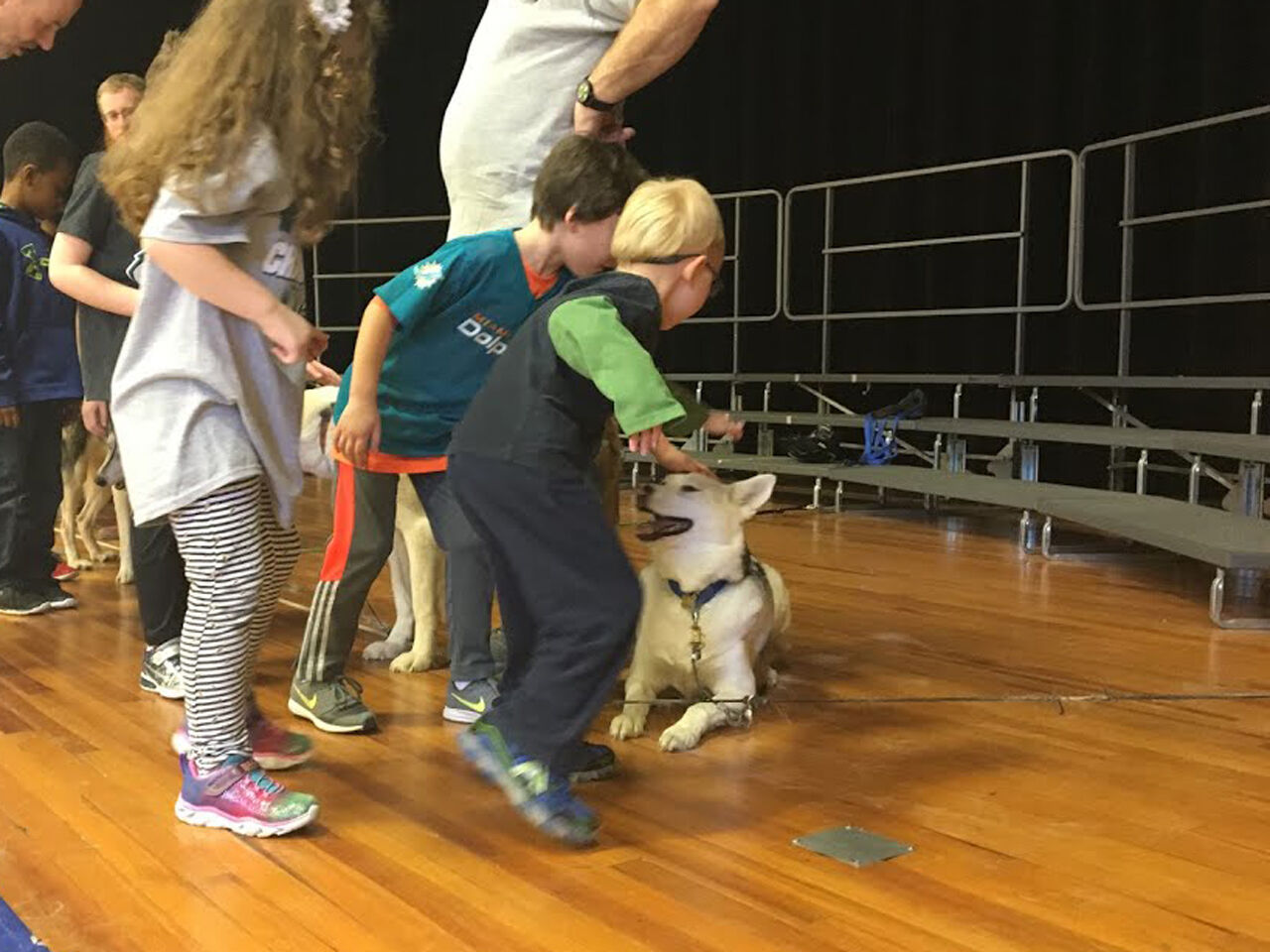 Sled dogs take Clara Barton Elementary School