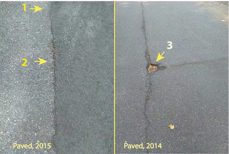 Wang: Road repairs need to happen more often