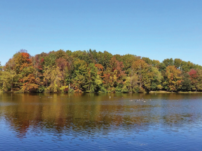 Lawrence Township buys Colonial Lake property for preservation