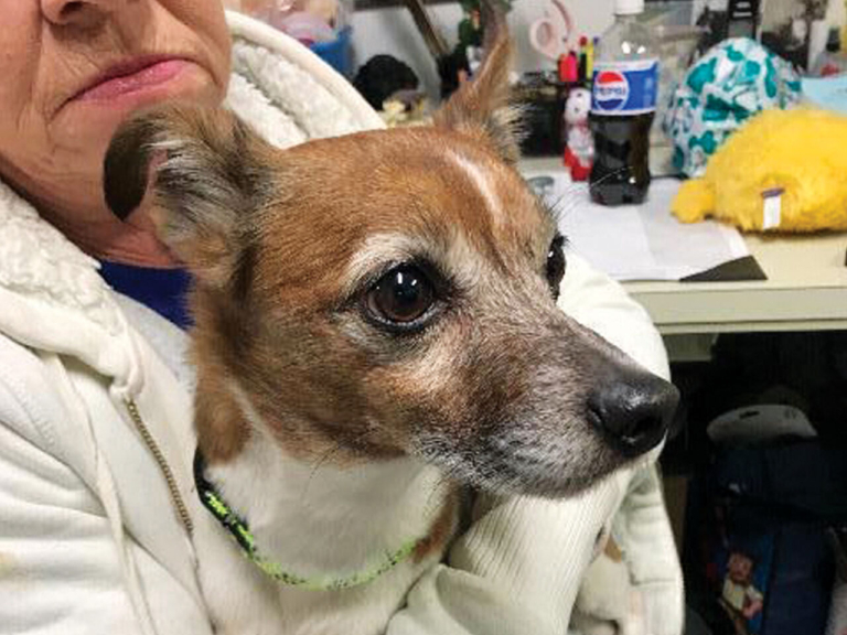 EASEL Animal Rescue League’s April rescues of the month