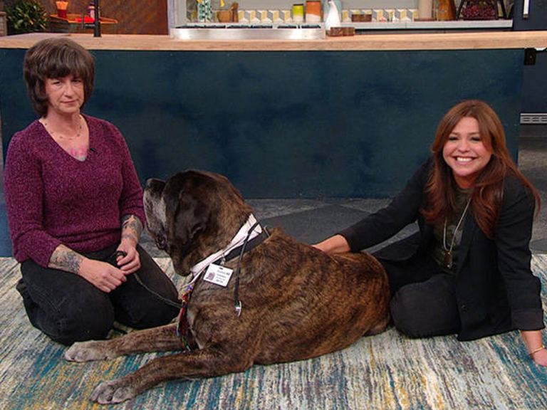 Ewing’s ‘dogtor’ Quincy is in the house