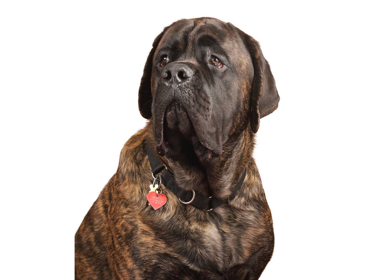 2018 05 EO quincy march headshot