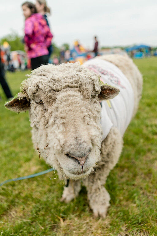 West Windsor Community Day -50-XL