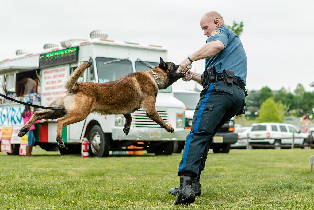 West Windsor Community Day -21-XL