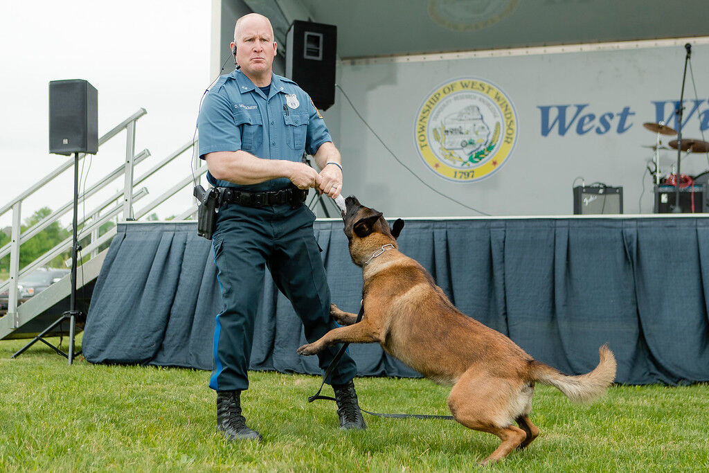 Plainsboro host community celebrations