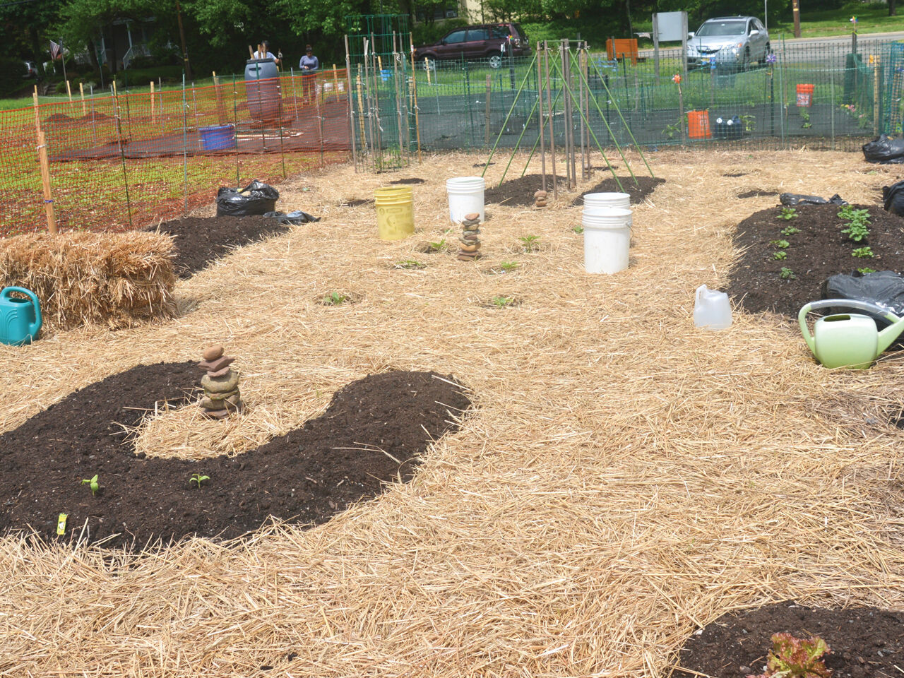 2018 06 LG Garden Al Hamm