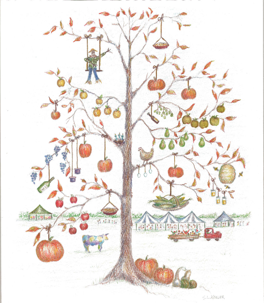 2018 07 HE Contest winnerimage1