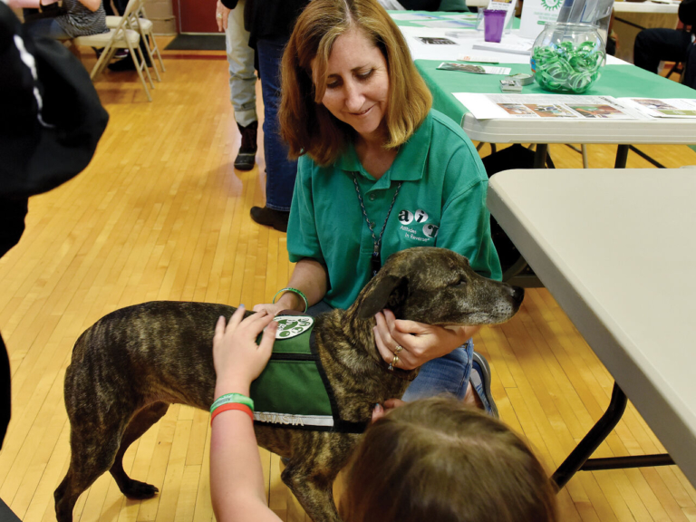 Bordentown therapy dog Shasta gives comfort to those who need it