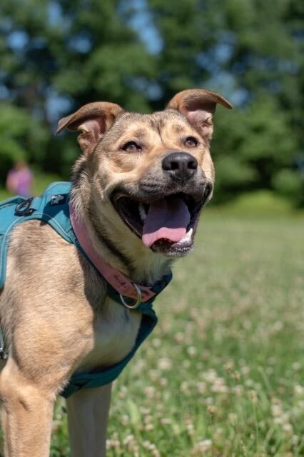 dl5zpyw5k3jeb.cloudfront.net