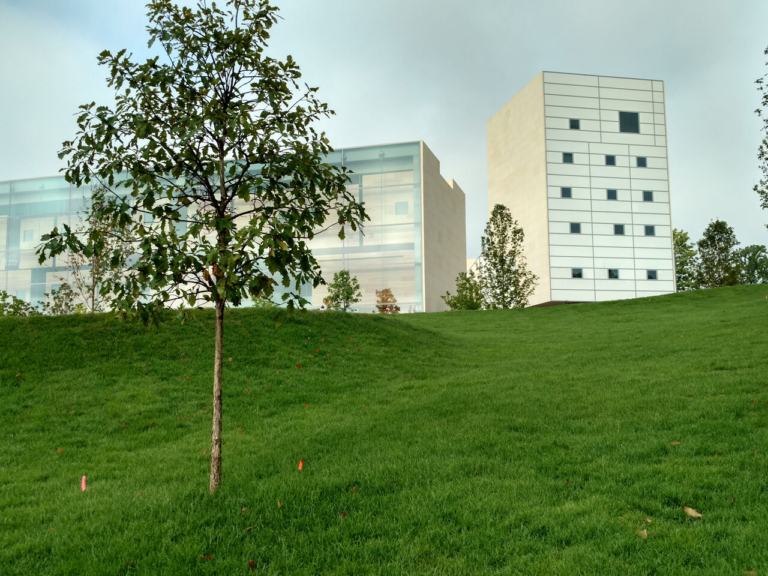 Lawn as a teaching tool