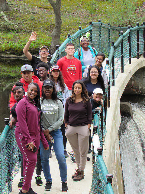 28110035388_65ea68478c_z