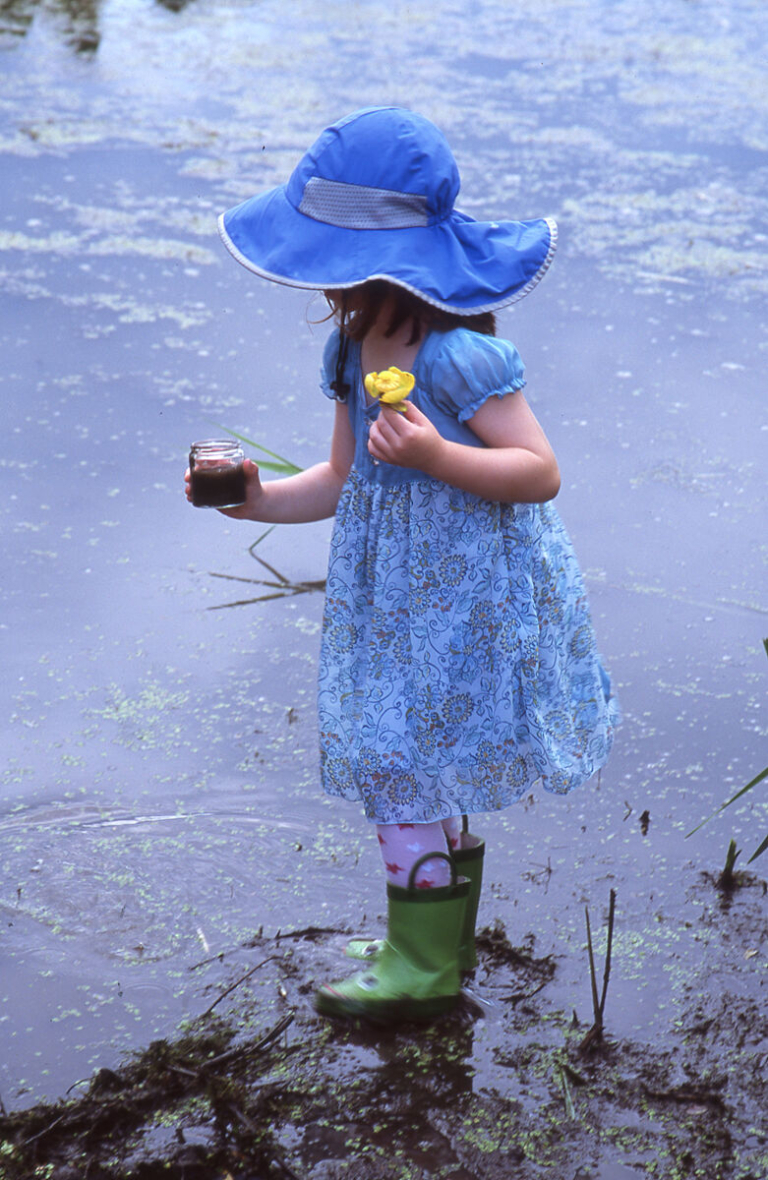 Tulpehaking Nature Center to host wetlands restoration event