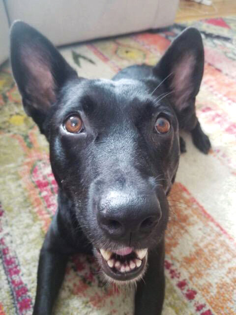 dl5zpyw5k3cloudfront.net