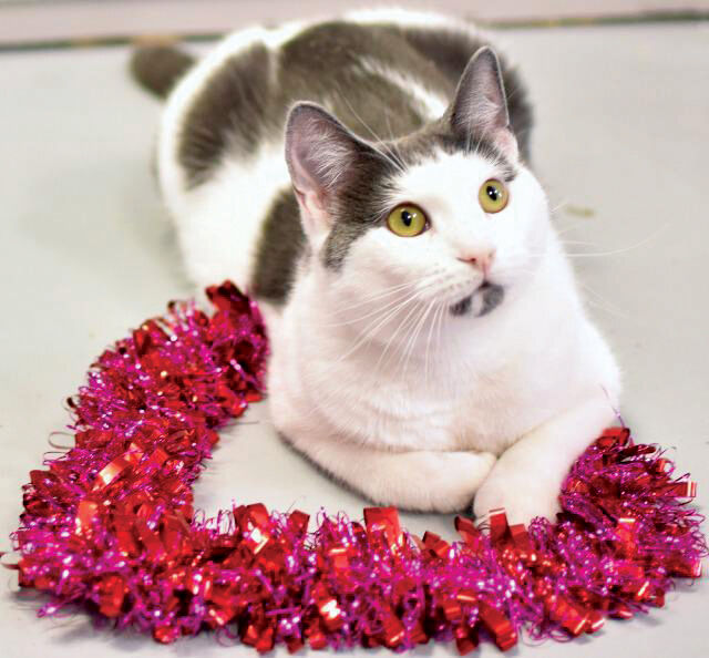 dl5zpyw5k3jeb.cloudfront.net