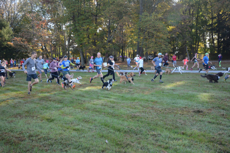 Trails 4 Tails Fest to raise funds for It’s A Ruff Life Rescue
