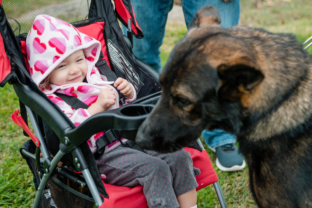 Octoberfest – Hamilton