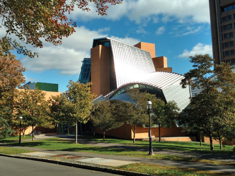 The Gehry building, 10 years old, invites the public to see the dream