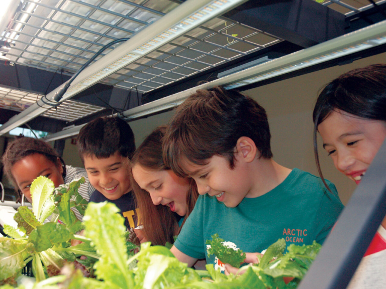 Hopewell Elementary School goes hydroponic, wins farm-to-school award