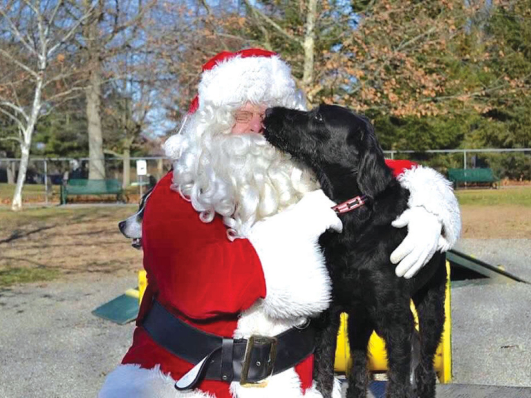 Here comes Santa Paws: dog park regular creates Christmas tradition