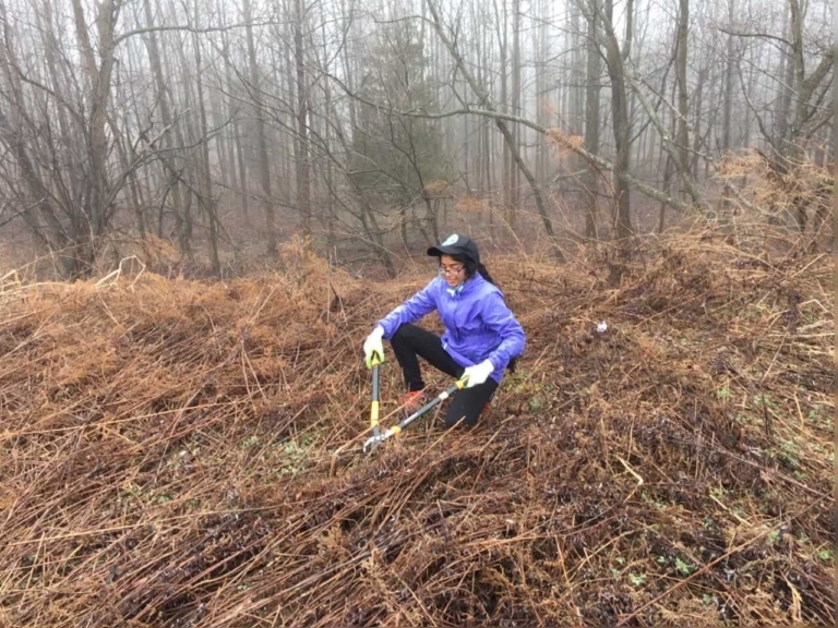 Girl scout earns Silver Award for bluebird project