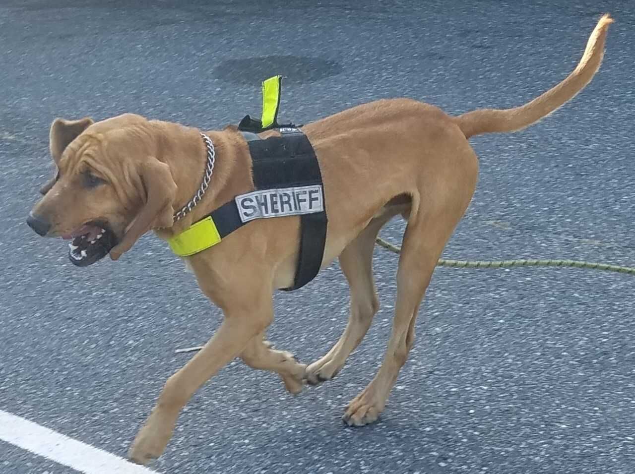 agoodboi