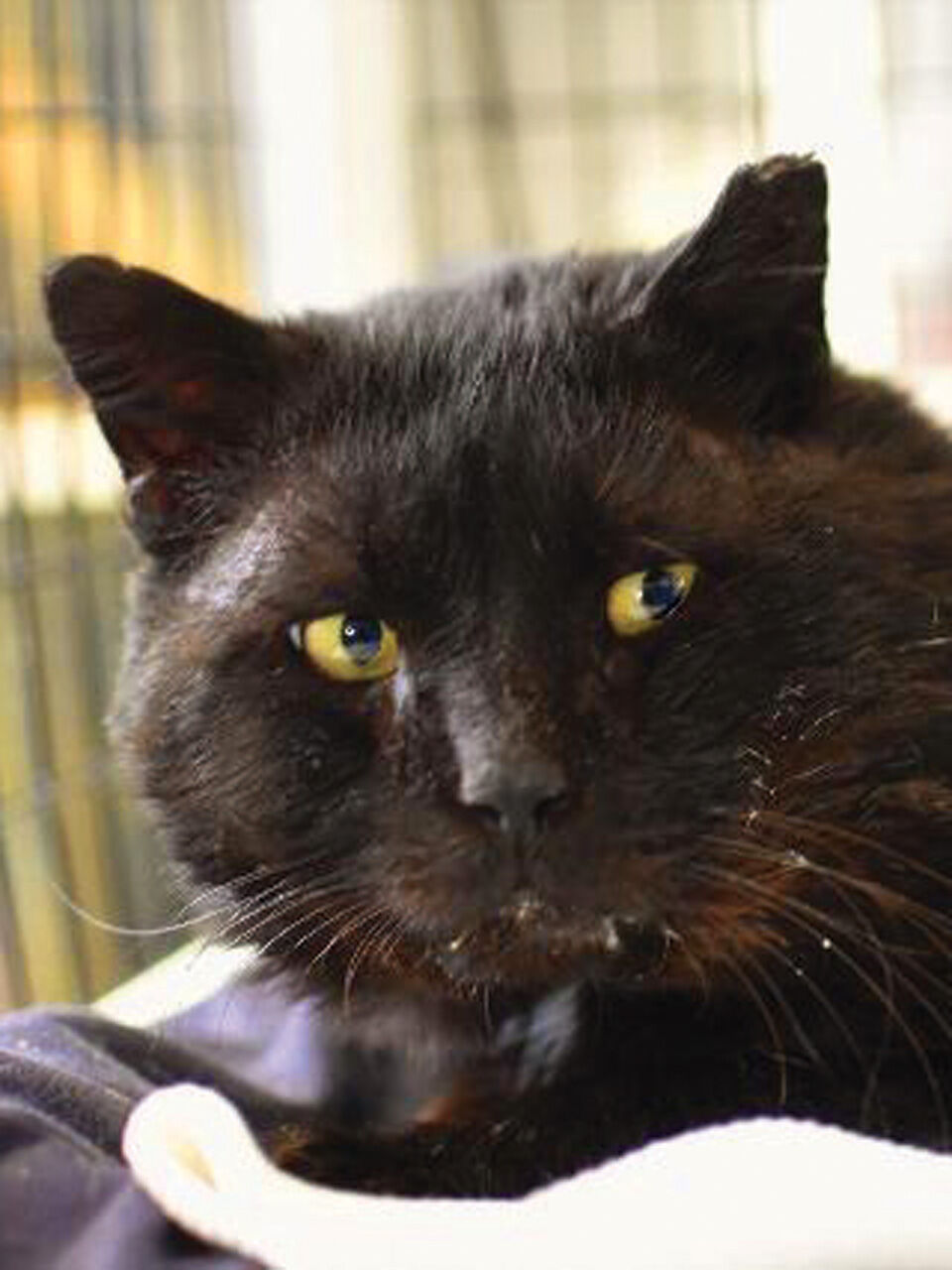 dl5zpyw5k3jeb.cloudfront