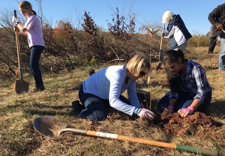 Volunteers to plant 1,500 trees in the Sourlands