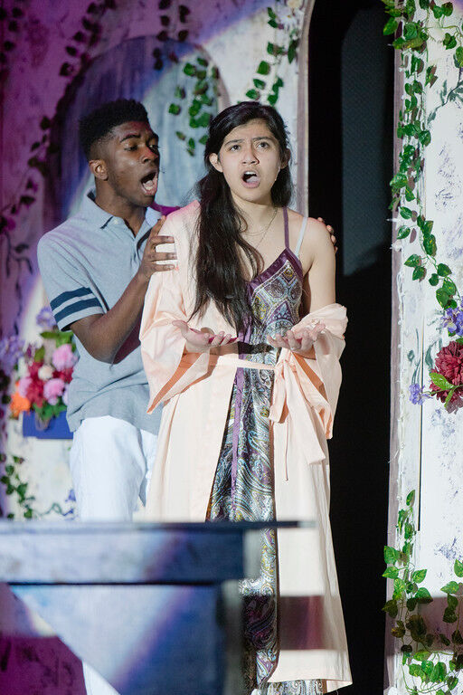 Mama Mia – LHS – 2019-51-XL