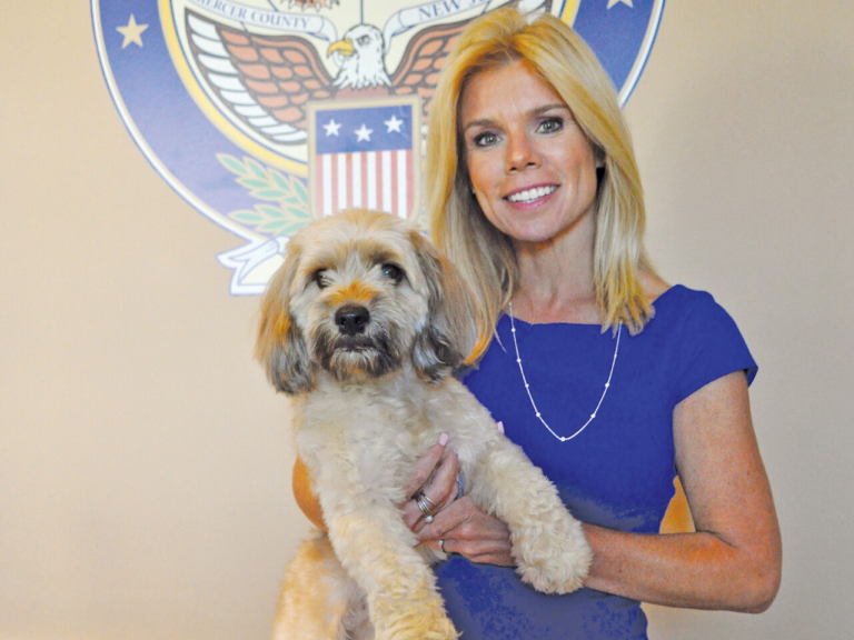 The Hamilton animal shelter debacle: a conspiracy, or a crime?
