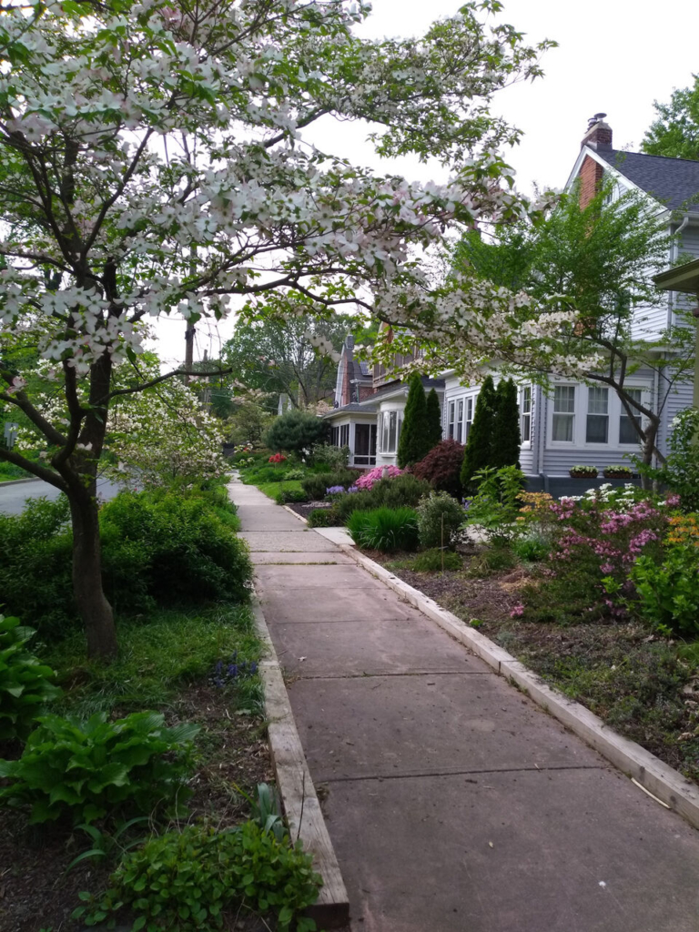 Trenton’s Island neighborhood preparing for June 22 garden tour