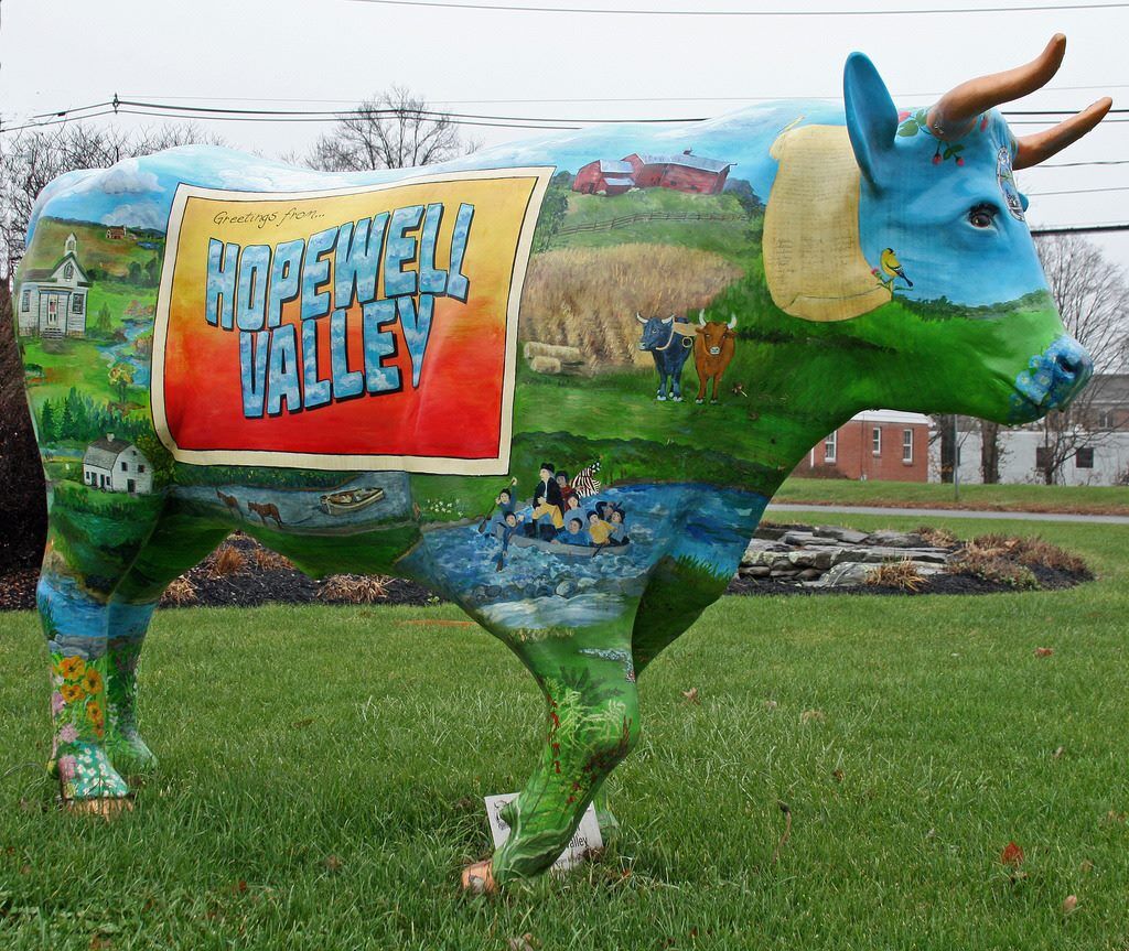 hopewell valley cow