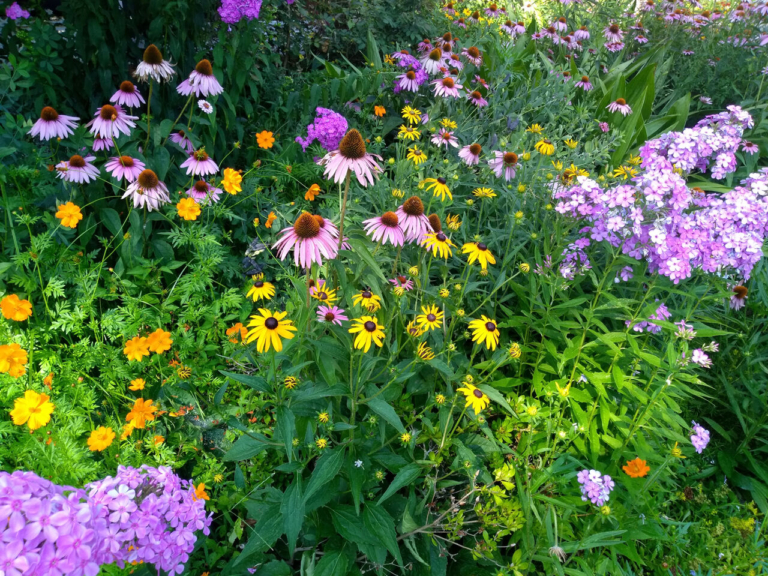 Trenton’s Island Garden Tour this Saturday