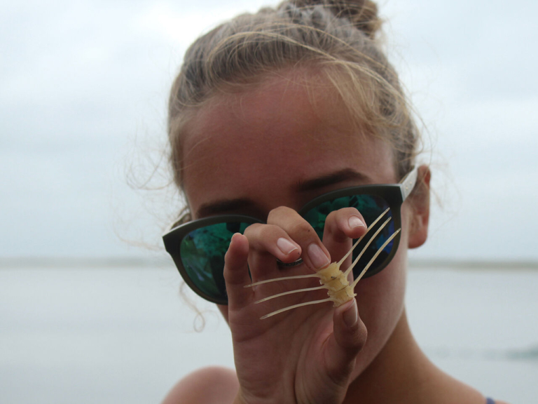 Rider University STEM Summer Institute: academic experience for community college students