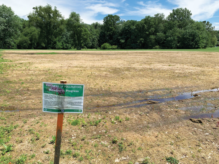 Habitats for feeding pollinators are being set up in two Ewing locations