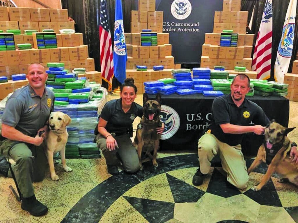 64623334_10214750568661112_2087554418835718144_n