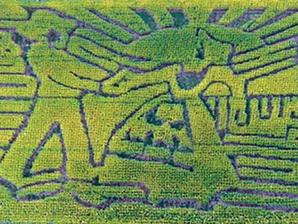 Corn maze aerial