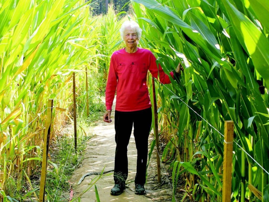 Corn maze Pam Mount