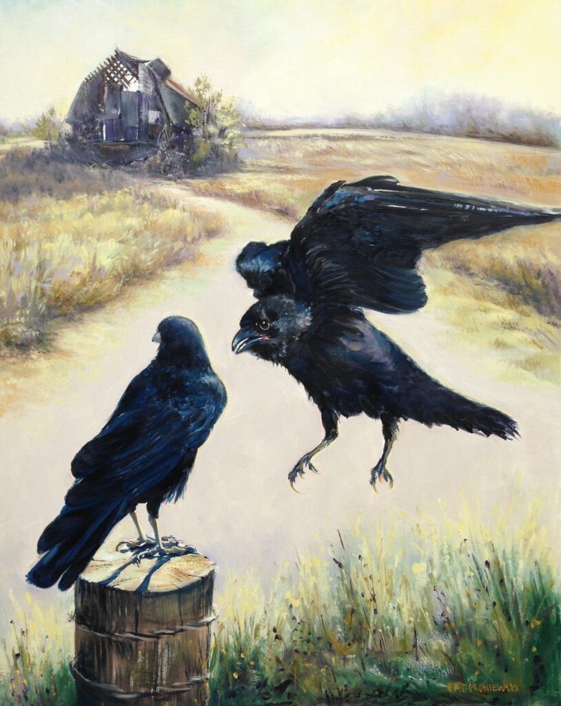 ProniewskiP_Carrion (2)