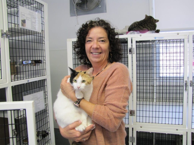 EASEL program helps shelter cats find a forever home