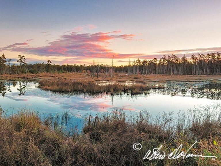 ‘National Treasure’: Albert Horner’s photos capture Pinelands mystique