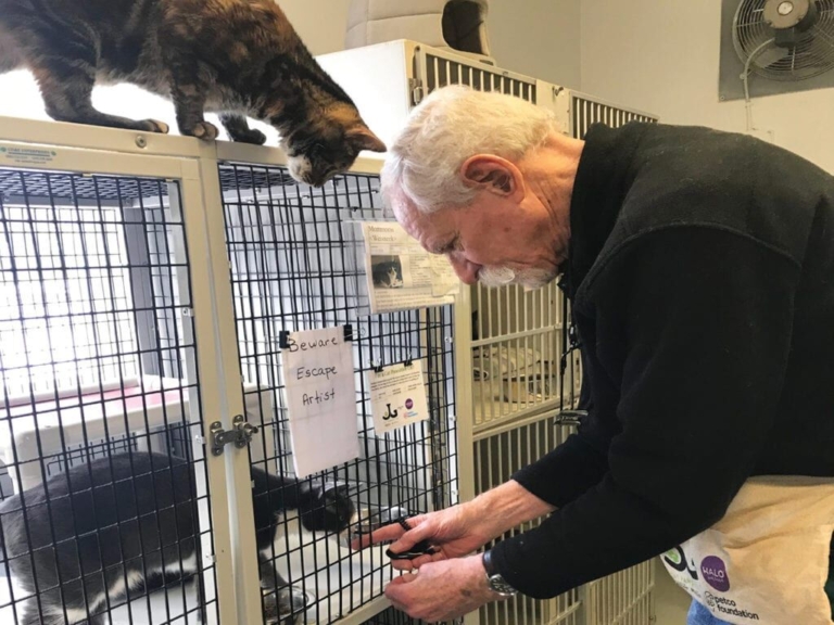 Bo Hitchcock is EASEL animal shelter’s very own cat whisperer