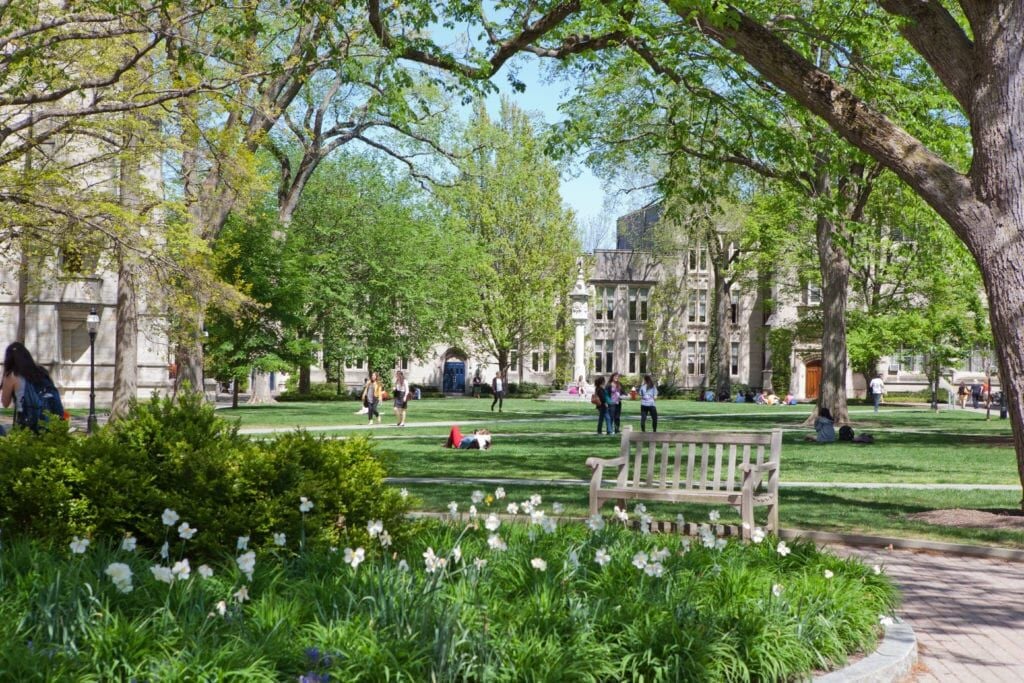 Princeton University