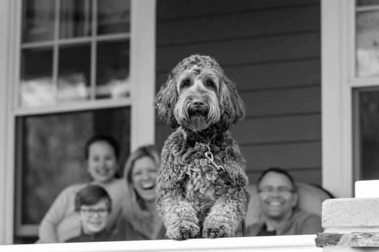 Ewing photographer Heather Raub documents life in the Stay-At-Home era