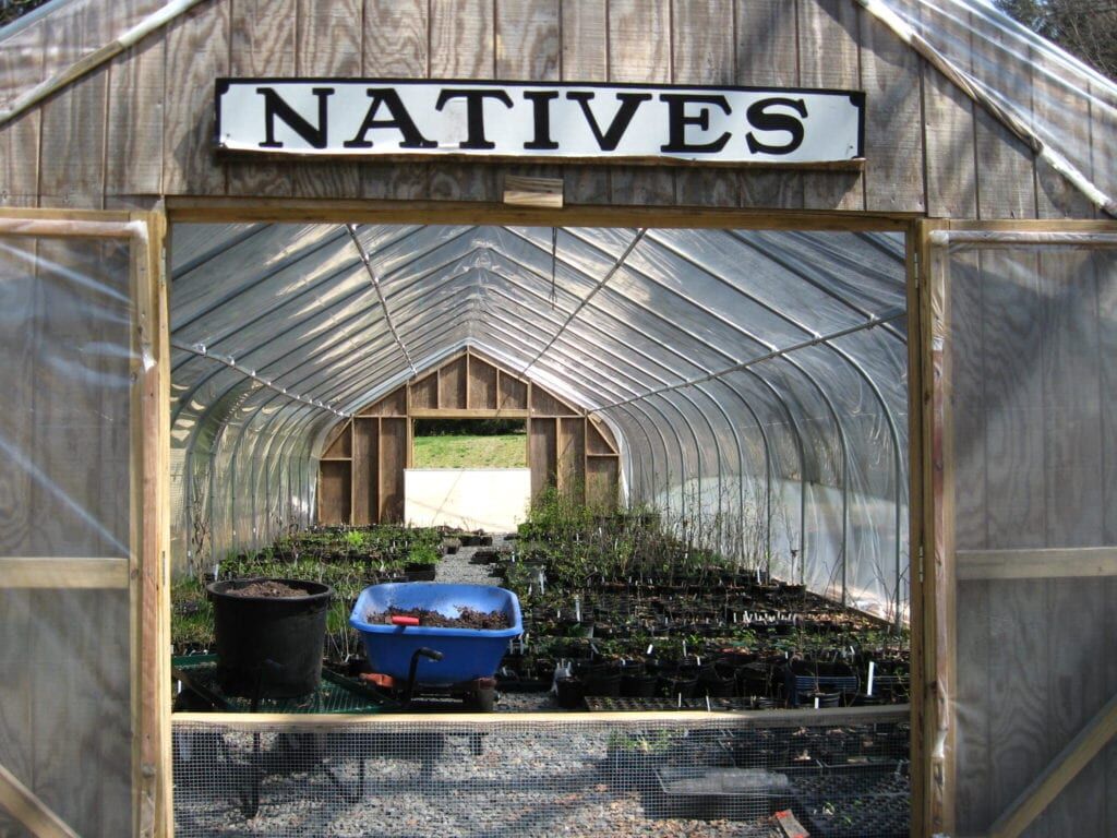 NATIVE PLANT NURSERY Carolyn Foote Edelmann