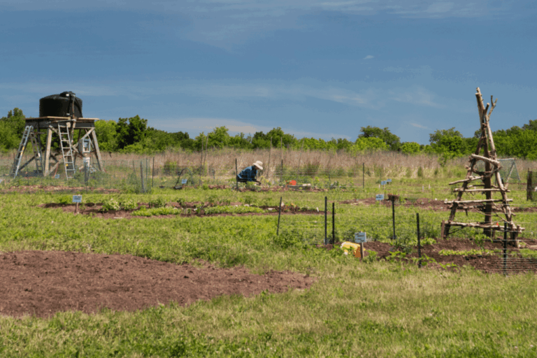 New victory gardens on Hopewell land preserve grow produce for charity
